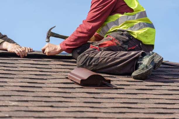 Best Metal Roofing Contractor  in Grayling, MI