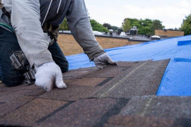 Roof Gutter Cleaning in Grayling, MI