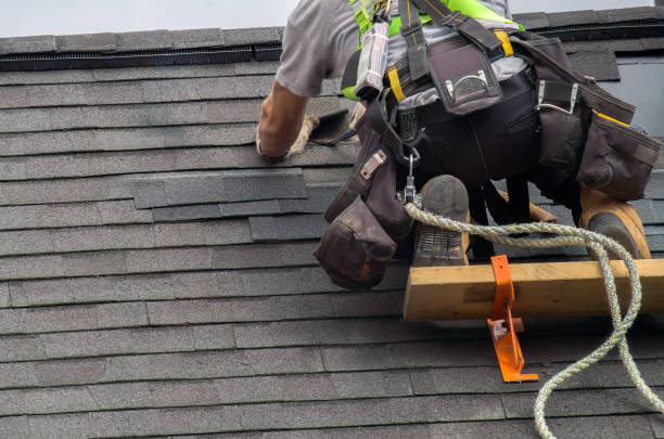 Best Residential Roofing Contractor  in Grayling, MI