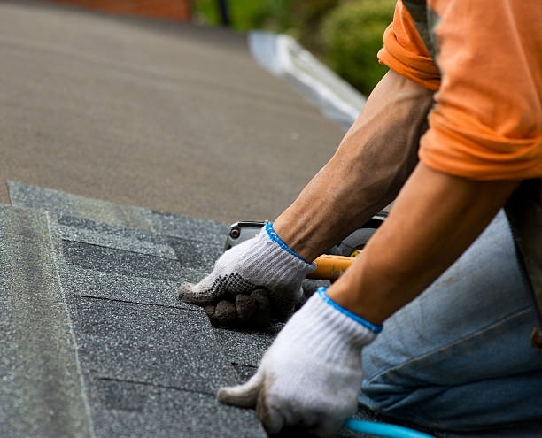 Best Gutter Installation and Roofing  in Grayling, MI